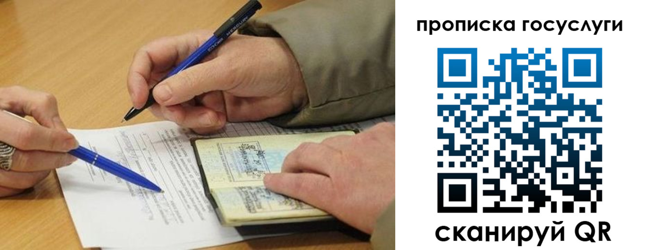 прописка законно в Котово